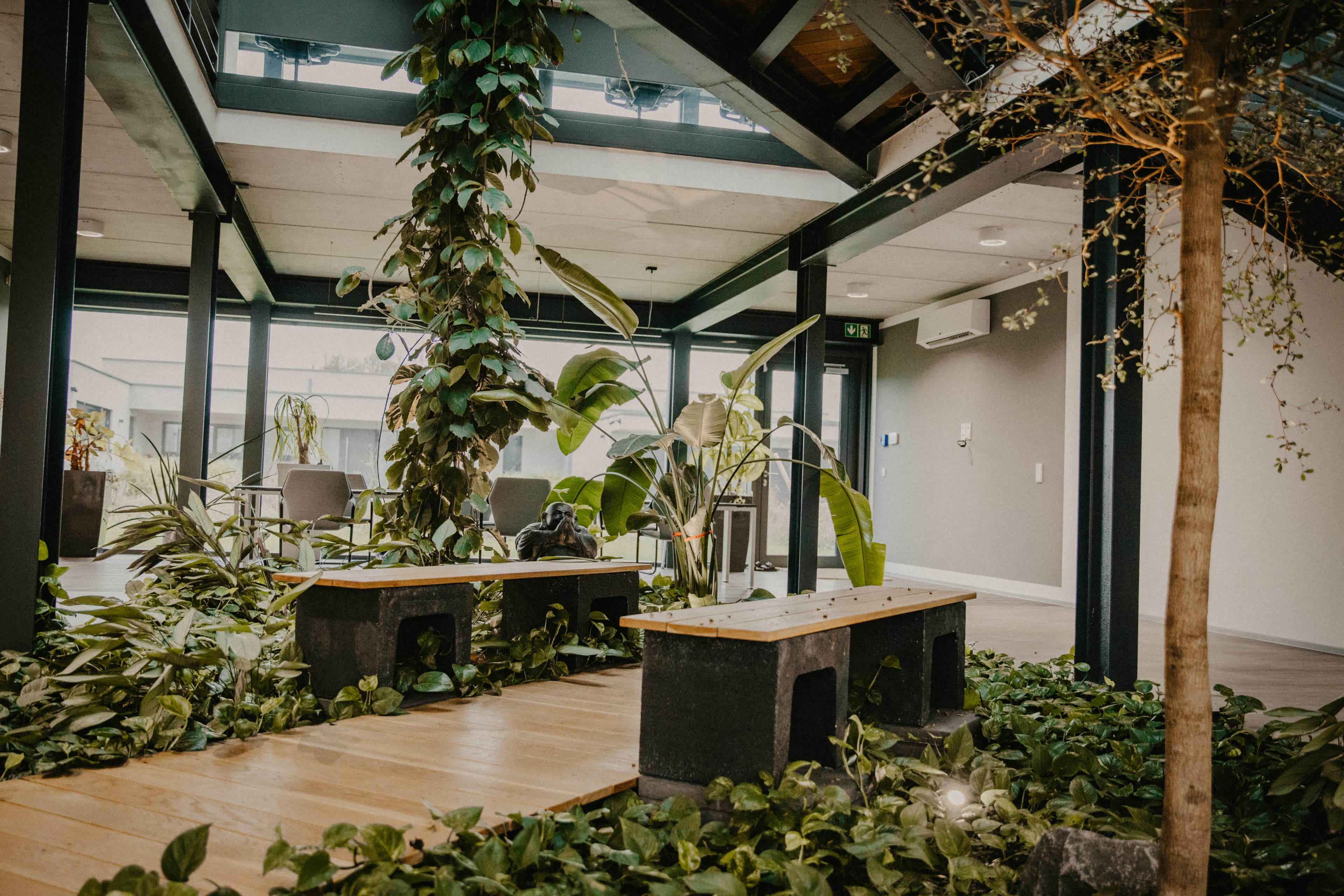 Praxis Angelica Bingenheimer – Empfangsbereich